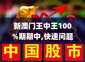 新澳门王中王100%期期中，精选解析解释落实