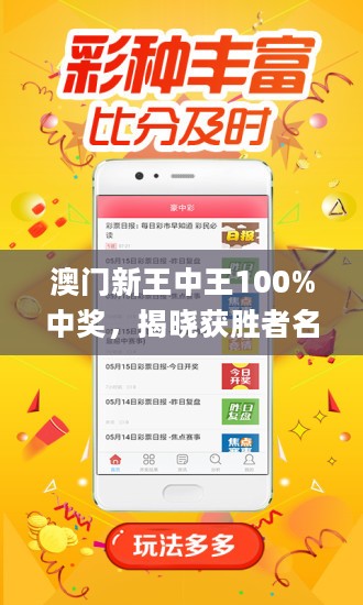 新澳门王中王100%期期中，全面释义解释落实