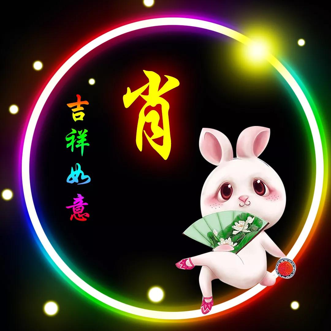 一码一肖100%精准生肖，精选解析解释落实