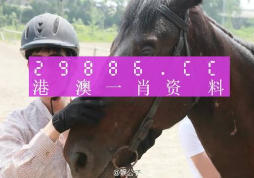 澳门一肖一码一必开一肖，精选解析解释落实