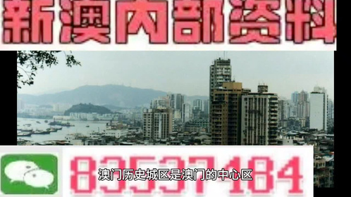 澳门资料新解，精选解析与精准落实