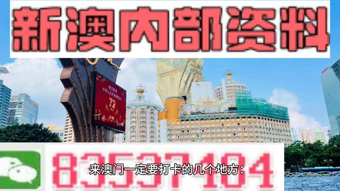 澳门正版免费精准大全，2025年精选解析与解释落实