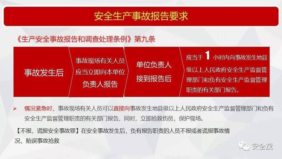 新奥精准免费提供网料站，全面释义解释落实