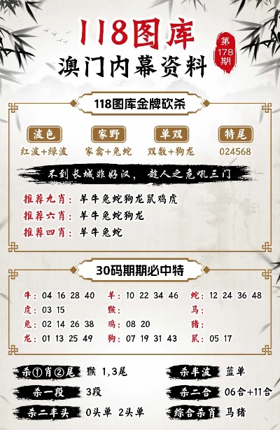 澳门管家婆精准预测，精准解析与落实策略