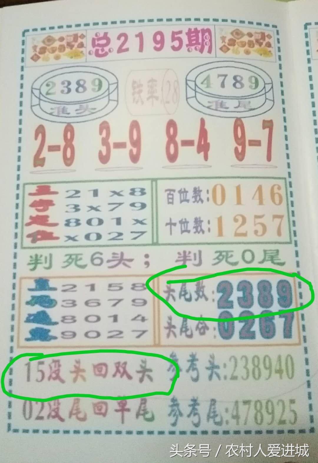 澳门今晚精准一肖，神秘与现实的交汇