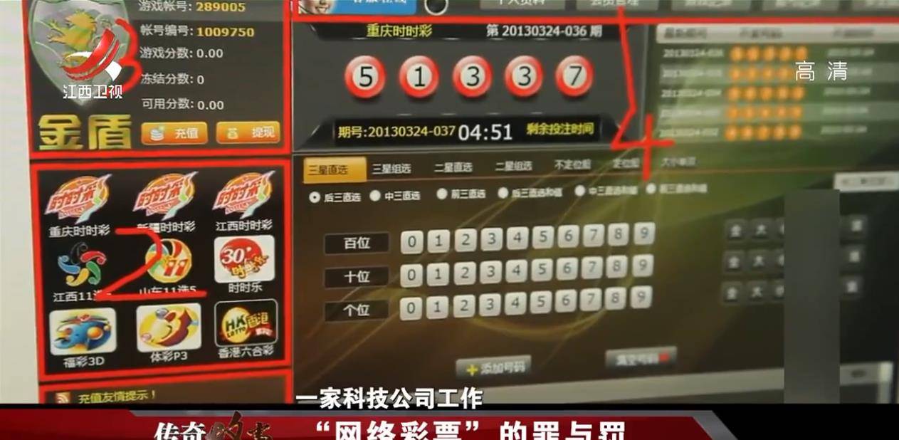 揭秘王中王心水与王中王免费资料，一场数字游戏与信息陷阱的深度剖析