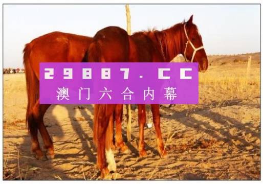 今晚澳门9点35分开什么，揭秘澳门六开彩的实用释义与解释落实