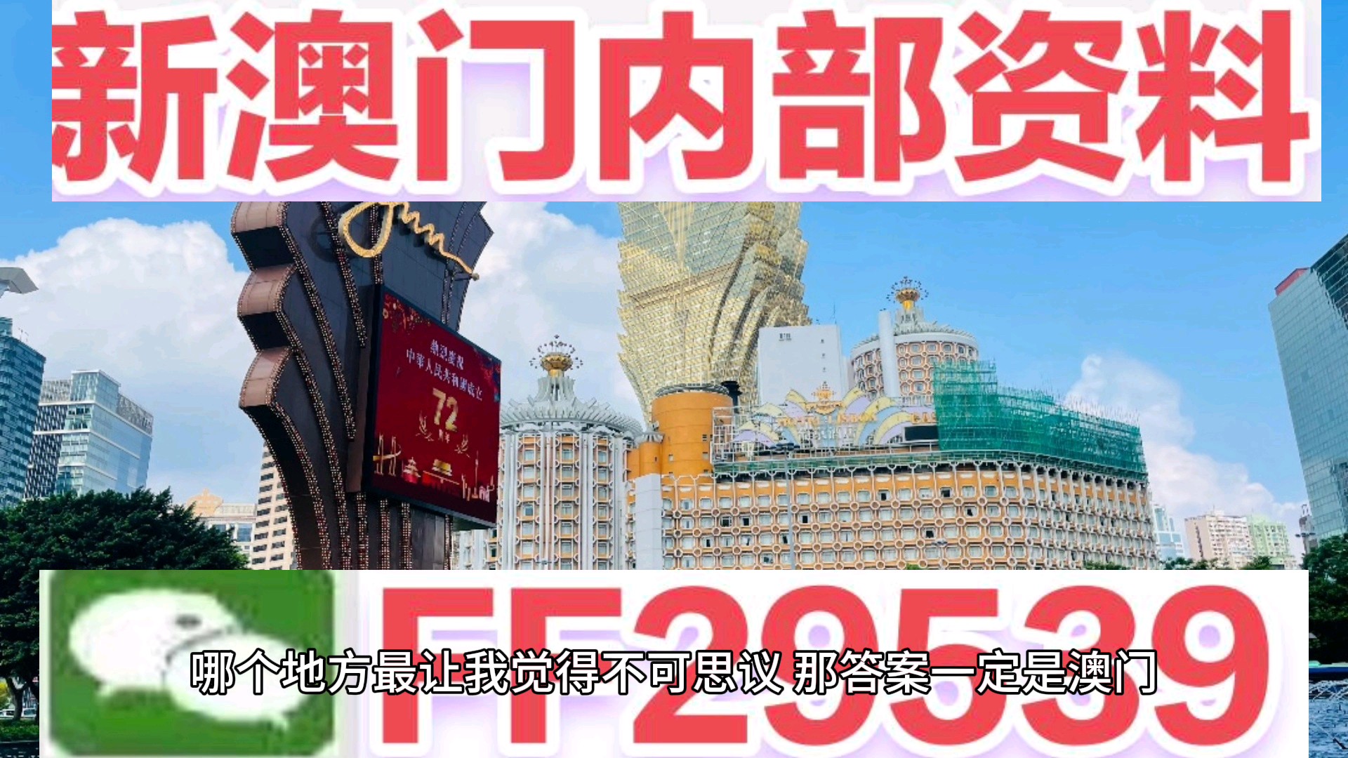 2025澳门特马今晚开奖亿彩网，精选解析解释落实
