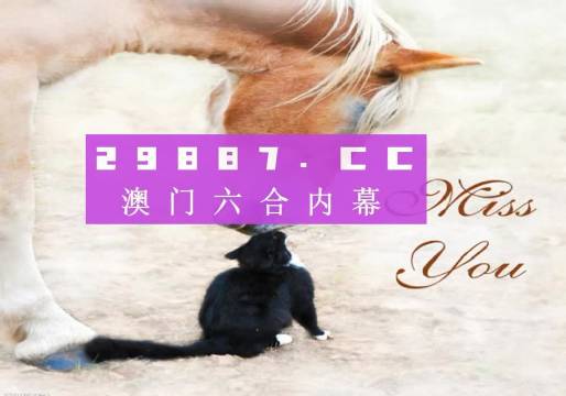 4949澳门今晚开奖，全面释义解释落实