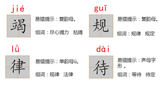 澳特一码一肖一特，词语释义解释落实