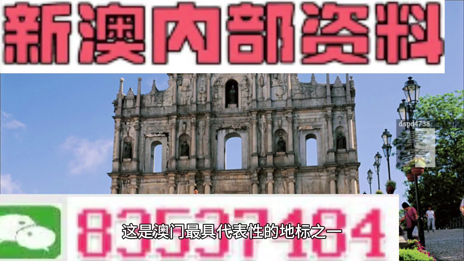 新澳门免费精准大全，全面释义解释落实