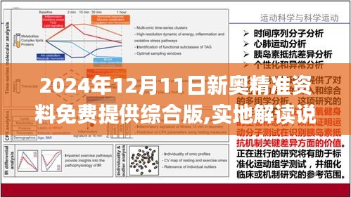 2025精准免费大全，精选解析解释落实