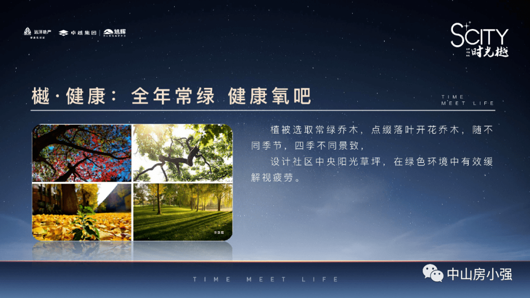 2025年新澳天天开奖，精选解析解释落实
