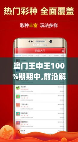 新澳门王中王100%期期中下，词语释义解释落实