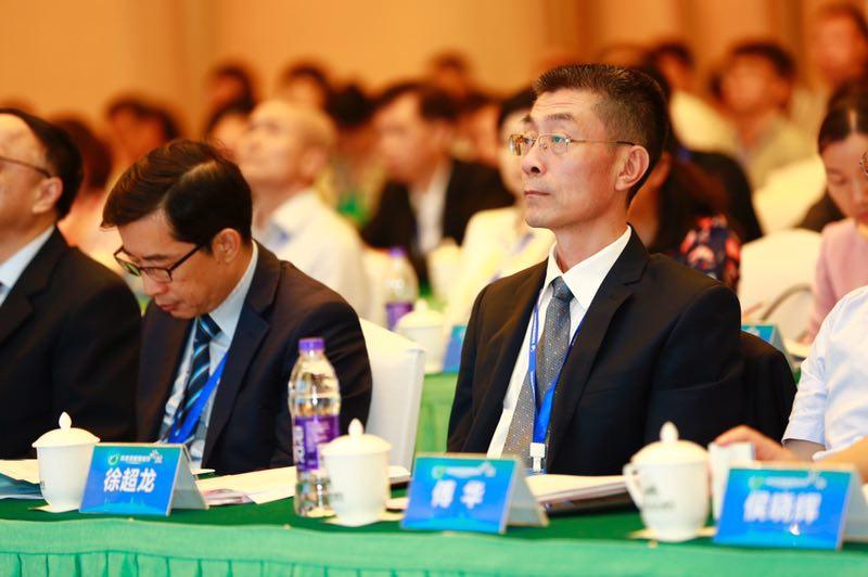 2025年新澳门全年免费，精选解析解释落实